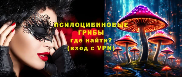 ALPHA PVP Алексеевка