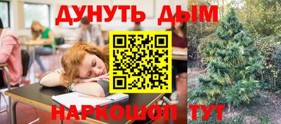 индика Тулун