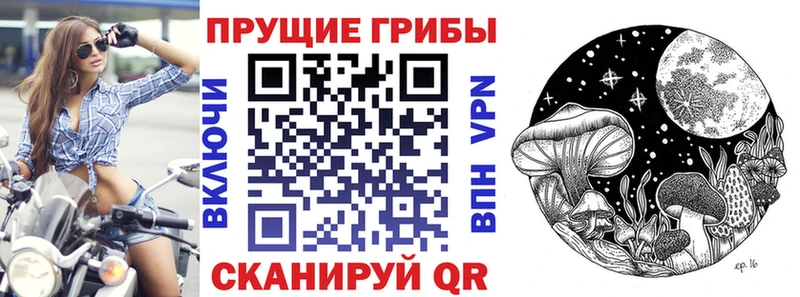 Галлюциногенные грибы MAGIC MUSHROOMS  Мегион 
