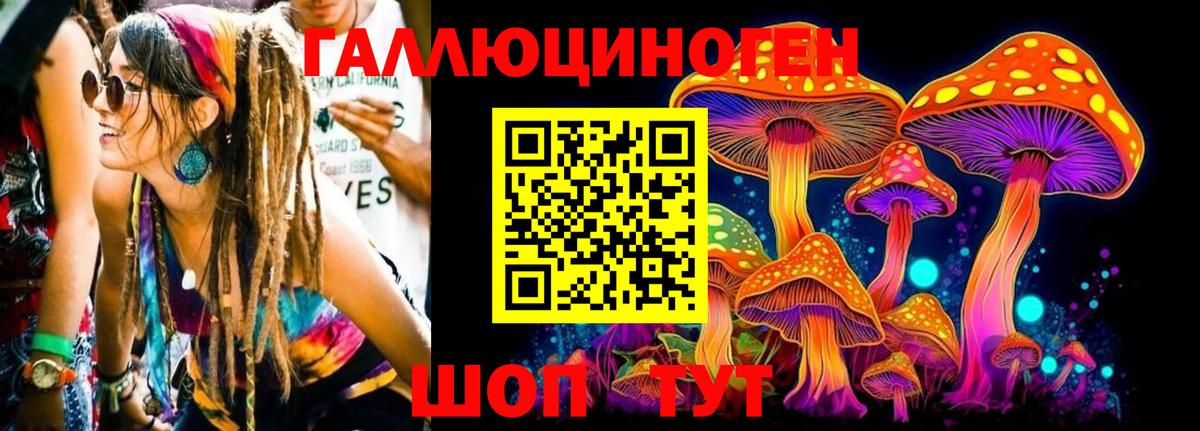 Псилоцибиновые грибы ЛСД Мегион